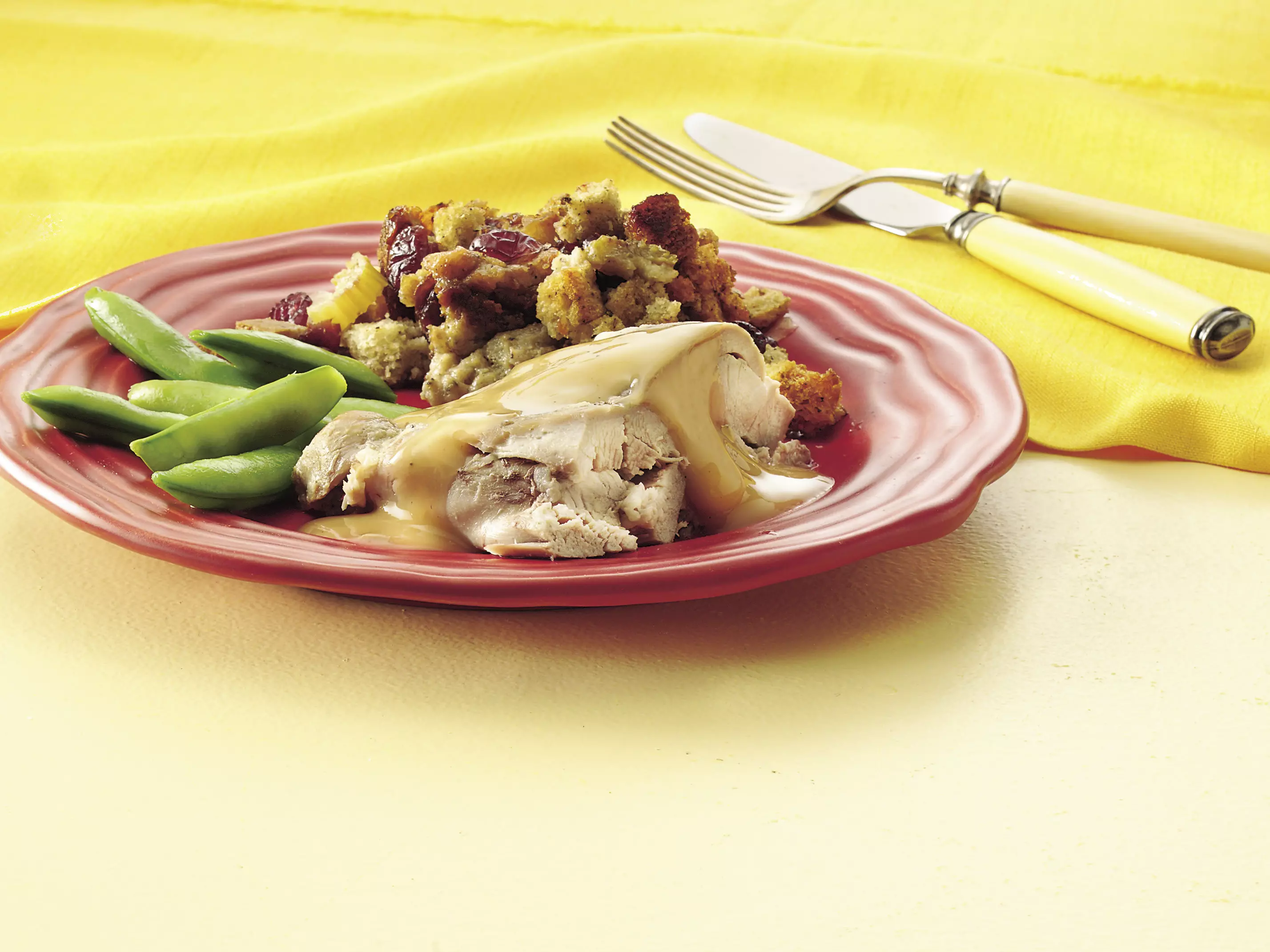 Turkey With Cranberry Stuffing Recipe - Pillsbury.com