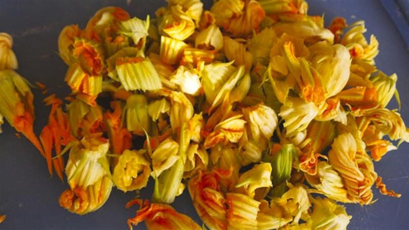 Zucchini Flower Pupusas 