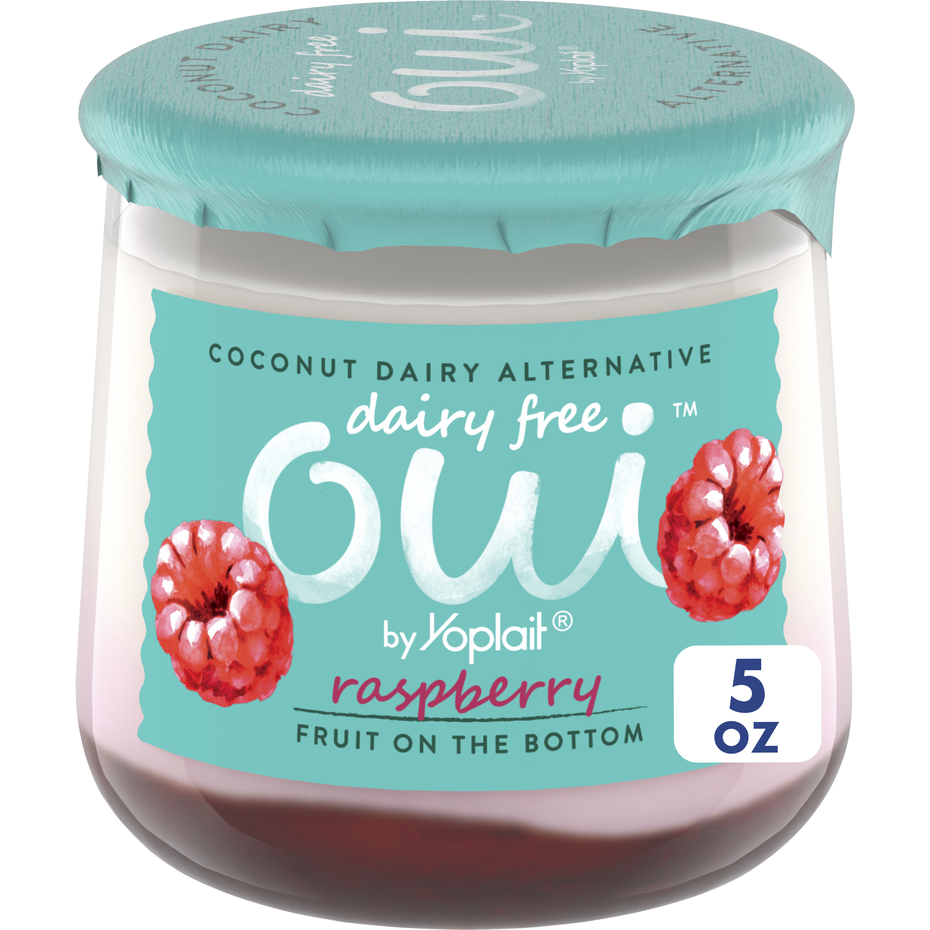 Non Dairy Dairy Free Yogurt Instant Pot Non Dairy Making Soy