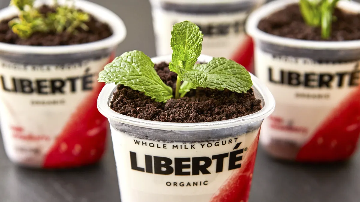 Yogurt Seedling Cups
