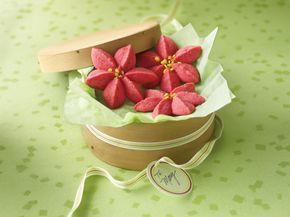 Raspberry Poinsettia Blossoms | Gold Medal Flour US