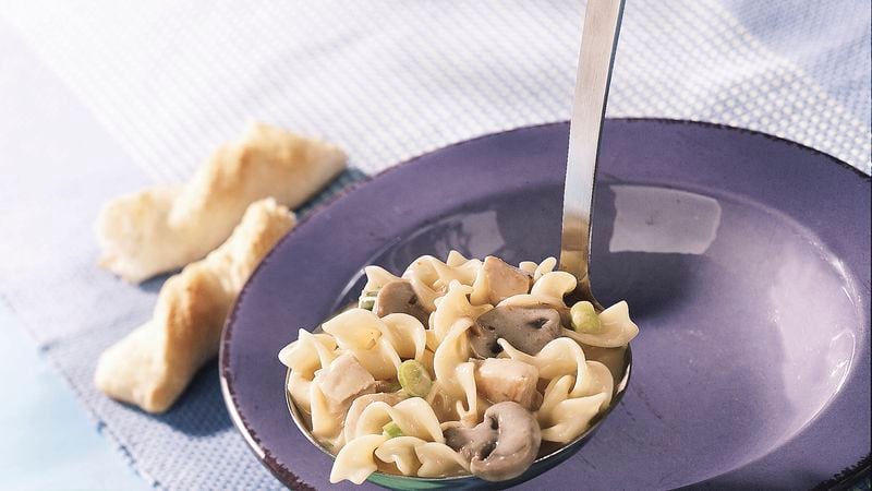 Creamy Chicken and Noodle Stew