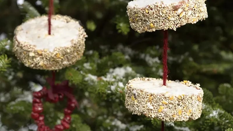 PB and J Bird Feeder Treat