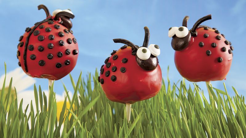 Ladybug Cake Pops