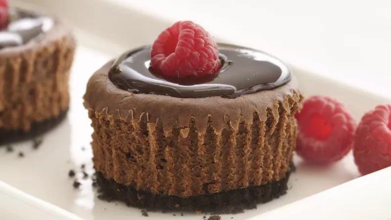 Skinny Mini Chocolate Cheesecakes