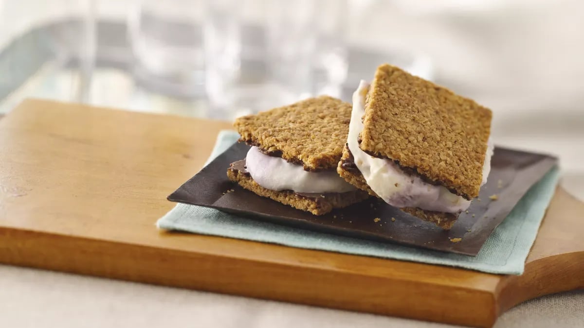 Fruity Frozen Yogurt Ice Cream Sandwiches