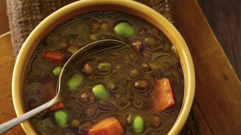 Curried Lentil and Vegetable Stew