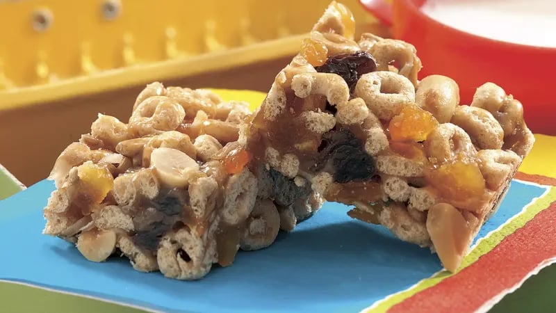 Fruit and Nut Snack Bars