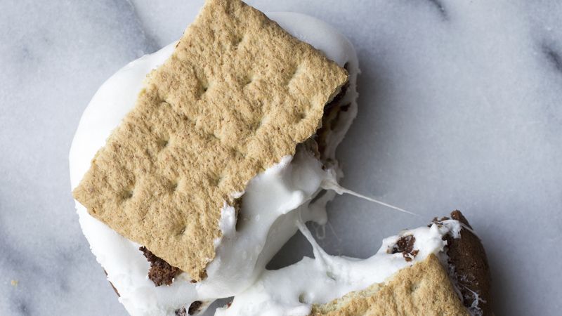 Double Chocolate Cookie S’More