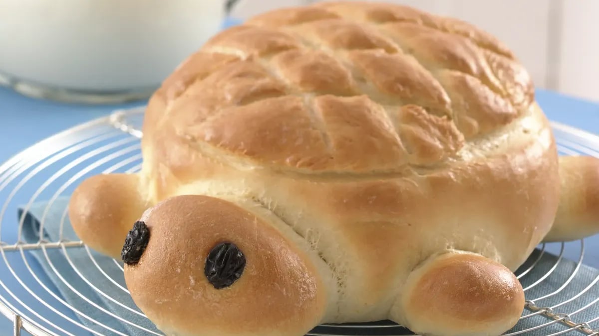 Turtle Bread