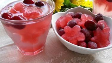 Cranberry Shark Ice Cubes