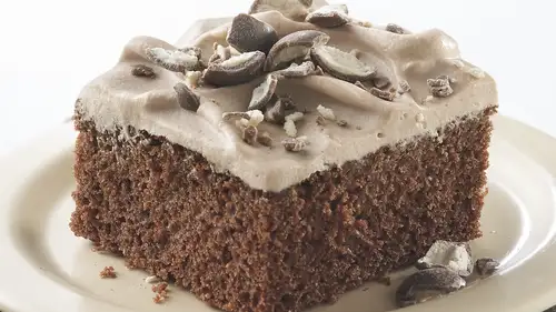 Chocolate Malt Cake