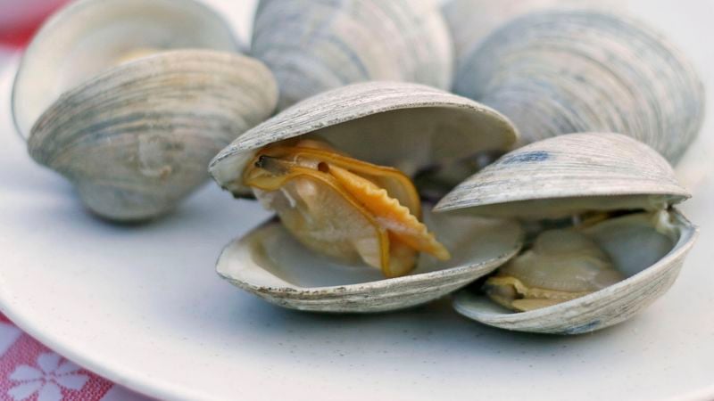 Beer-Steamed Clams on a Gas Grill