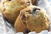 General Mills Foodservice | Blueberry Walnut Muffins