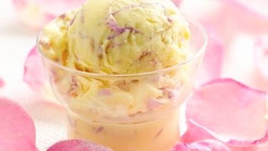 Homemade Ice Cream - Korosol/Soursop — Sabine's