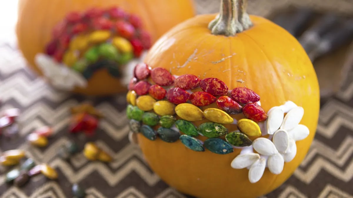 Rainbow Pumpkin Seed Craft