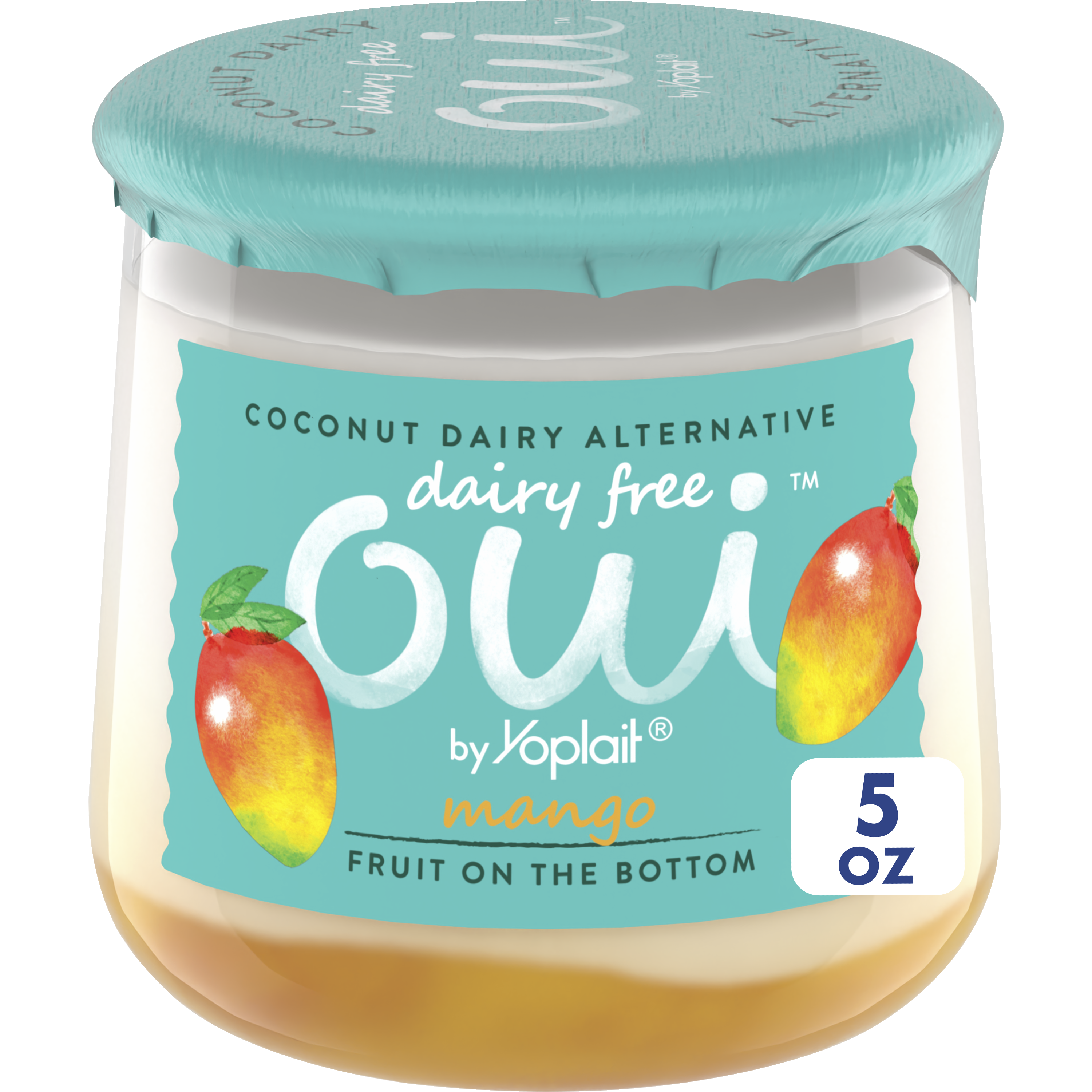 Non Dairy Dairy Free Yogurt Instant Pot Yogurt Maker Instant Pot