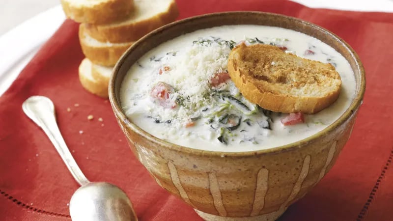 Spinach Dip Soup