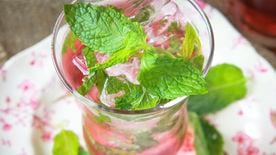 Mojitos Recipe - Gluten Free on a Shoestring