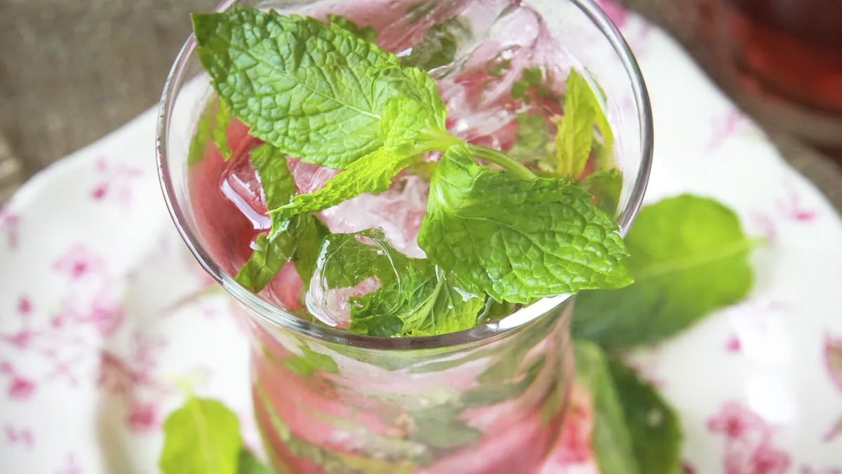 Cranberry Holiday Mojito