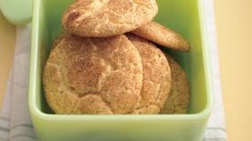 U/MrsKoliver Cinnamon Disk Cookies : r/Old_Recipes