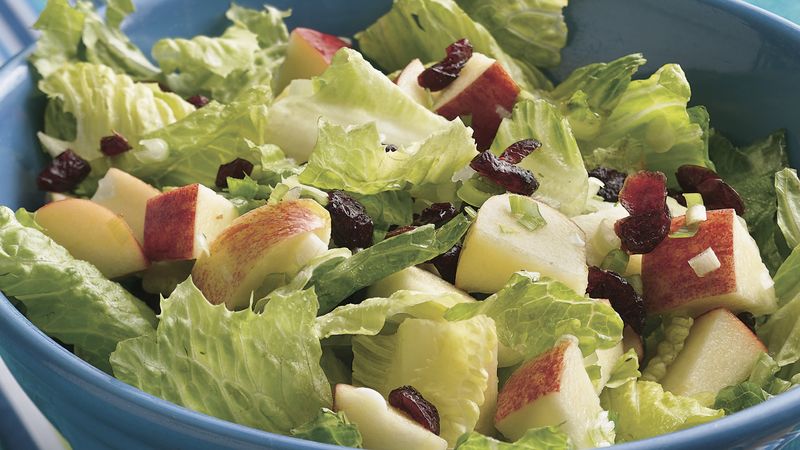 Romaine Salad with Apples and Cranberries