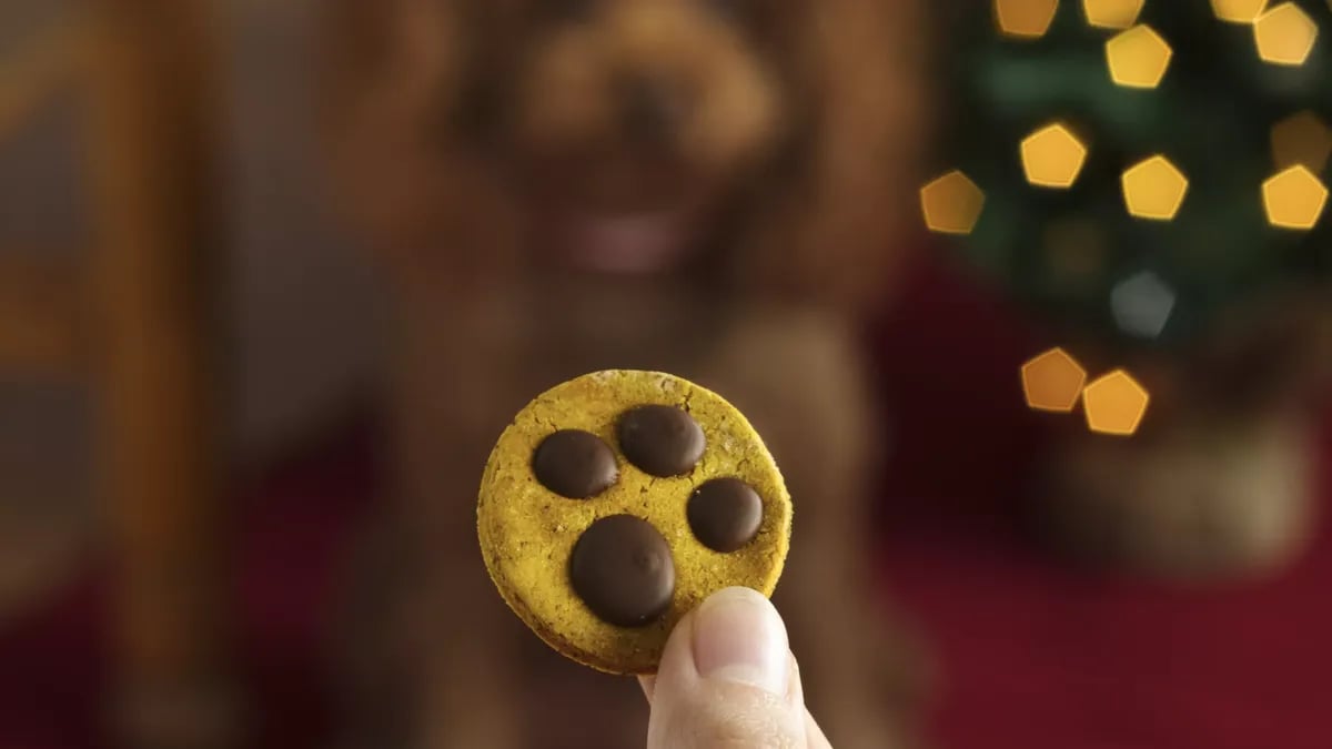 Paw Print Dog Treats