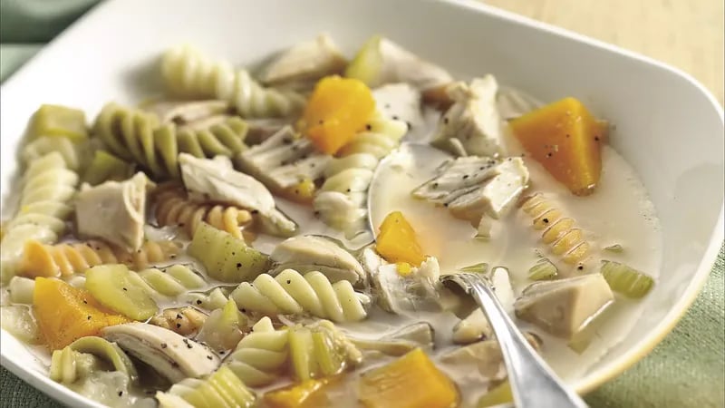 Chicken, Squash and Pasta Soup