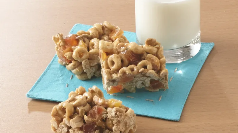 Fruit and Nut Snack Bars