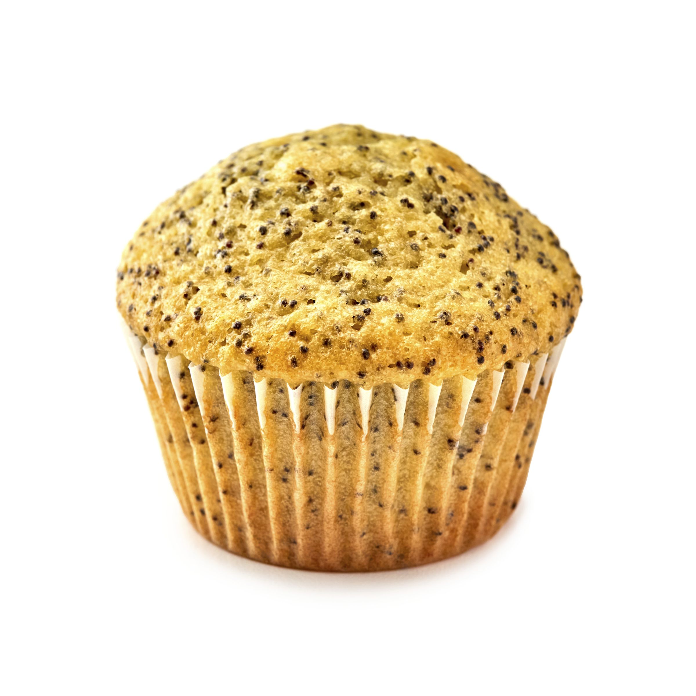 Prepared Pillsbury Frozen Muffin Batter Pail Lemon Poppy Seed 1/18 LB