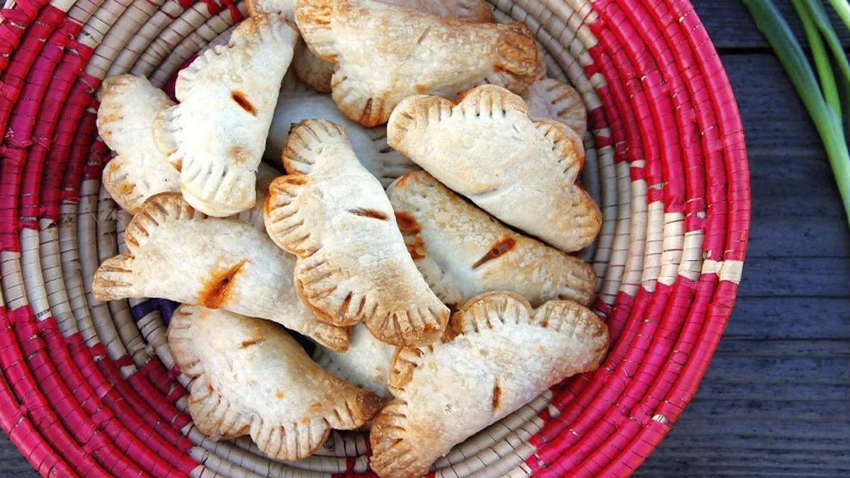 Chicken Enchilada Empanadas