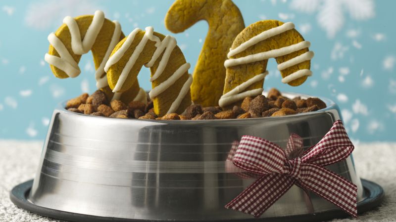 White rice sales flour dog treats