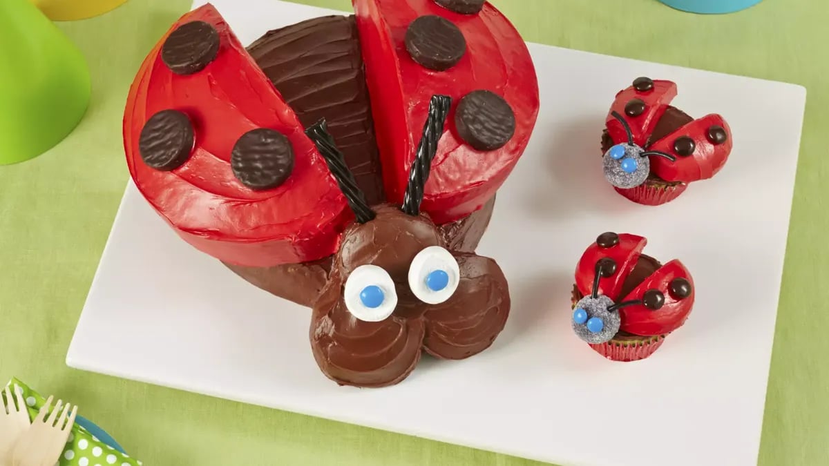 Ladybug Cake and Cupcakes