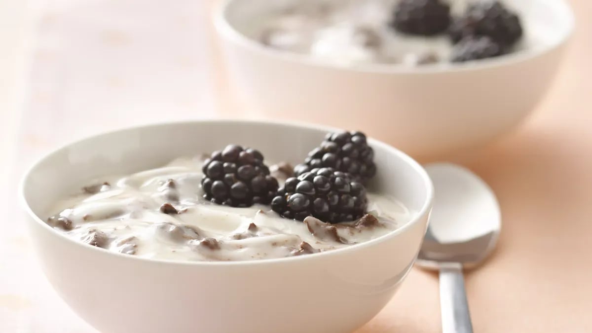 Chocolate Chip Yogurt Delight