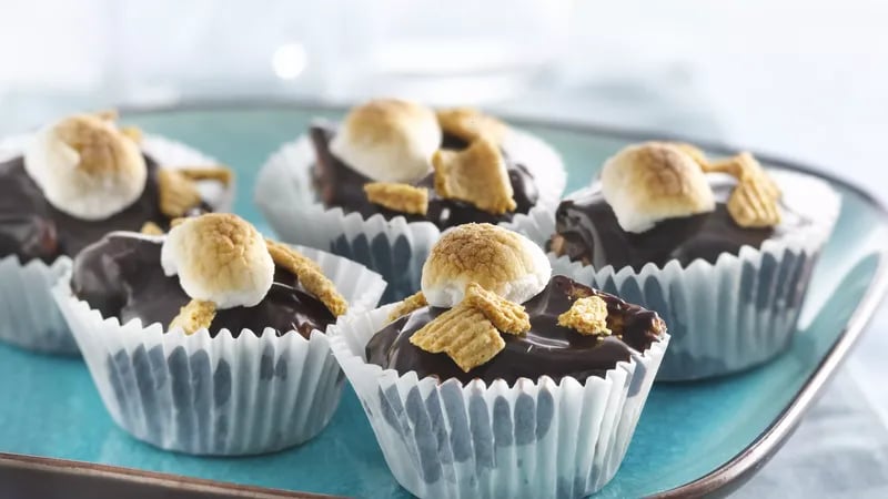 Refrigerator S'mores Mini Cakes